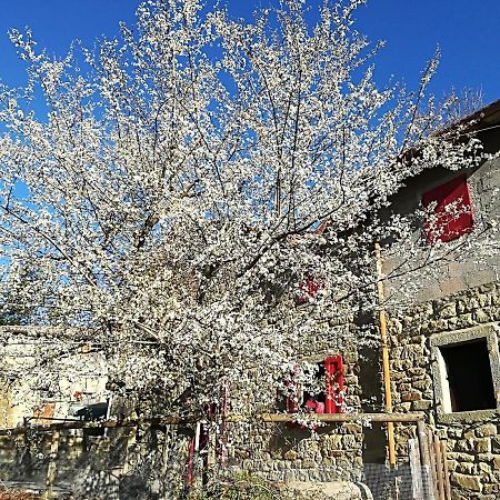 L'Ospitale Di San Jacopo B&B Pratovecchio Buitenkant foto