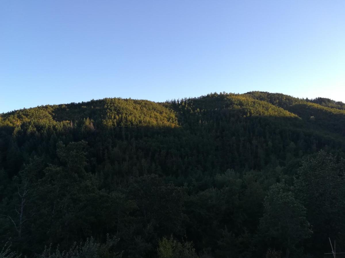L'Ospitale Di San Jacopo B&B Pratovecchio Buitenkant foto